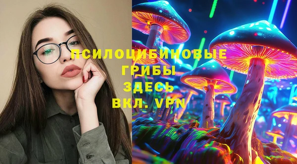 молекула духа Арсеньев