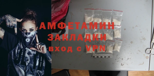 молекула духа Арсеньев