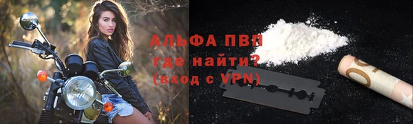 молекула духа Арсеньев