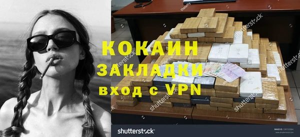 молекула духа Арсеньев