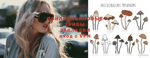 прущий лед Алзамай
